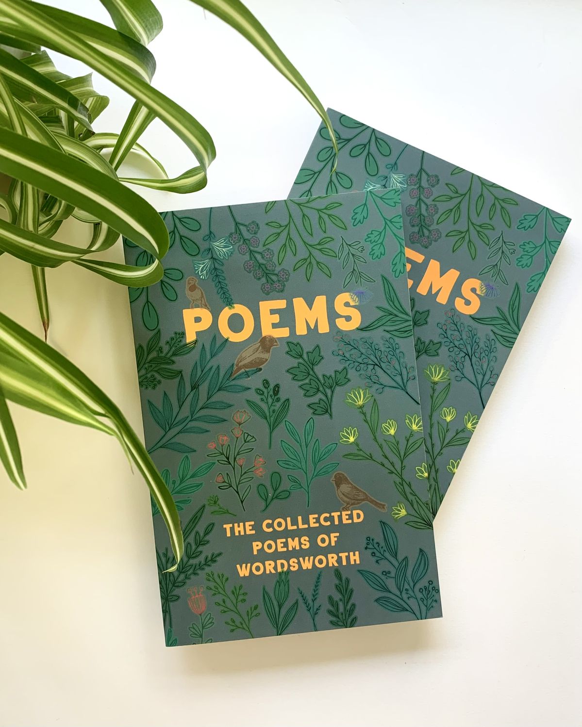 Poetry & Words Excellence Award