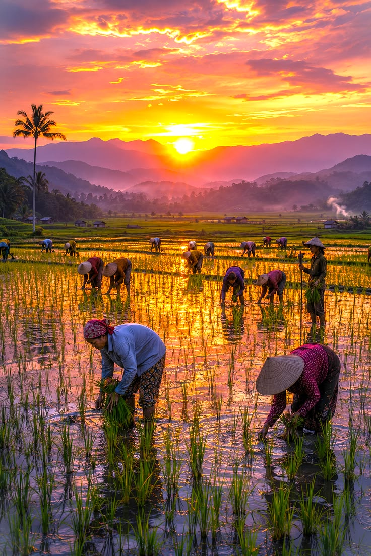 Farmers & Agriculture (Annadata Creator)