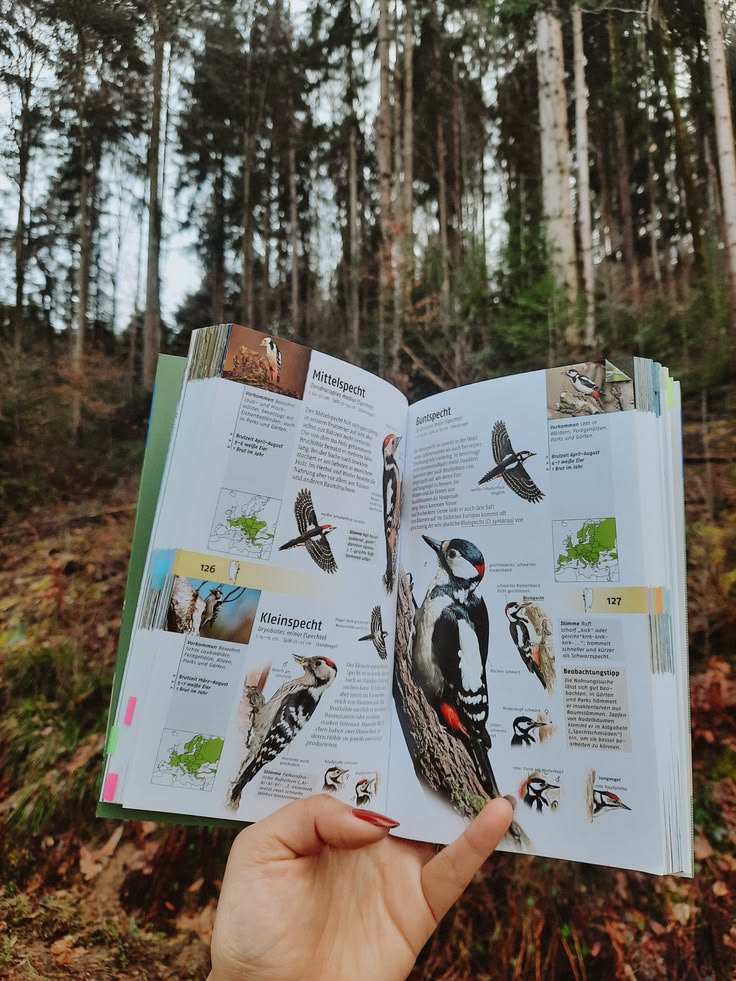 Nature Guides and Field Handbooks